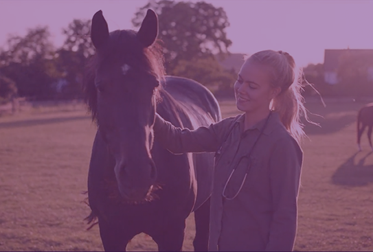 Vet-Line