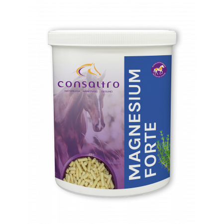 Consaltro Magnesium Forte Spezialfutter für Pferde 1 Dose 1kg
