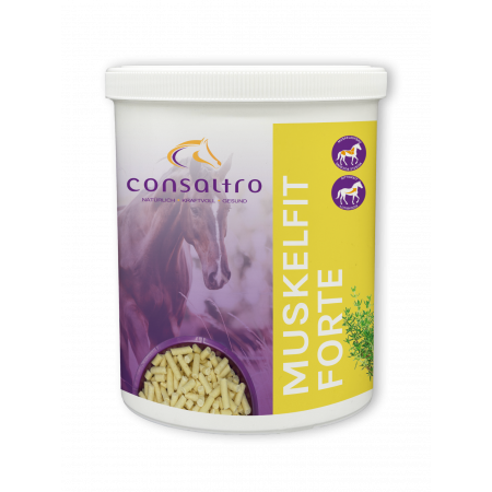 Consaltro Muskelfit Forte Spezialfutter für Pferde 1 Dose 1kg