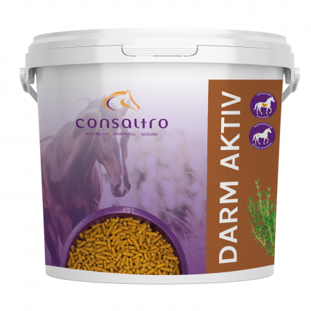 Consaltro Darm Aktiv Spezialfutter für Pferde 1 Eimer 3.5 Kg