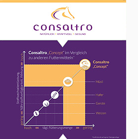 Consaltro Concept
