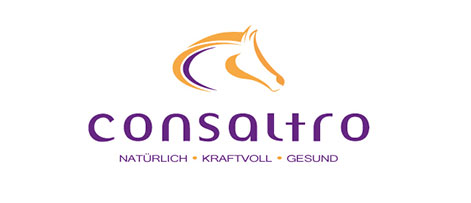 Consaltro-Logo